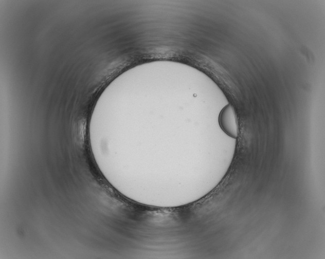 X0000110680118200907101135