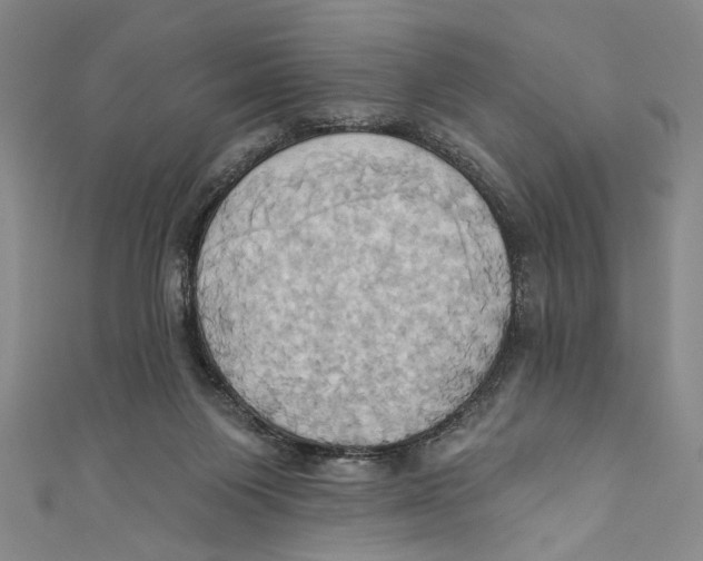 X0000110680119200907101135