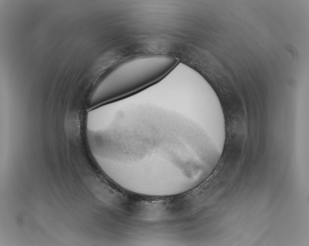 X0000110680120200907101135