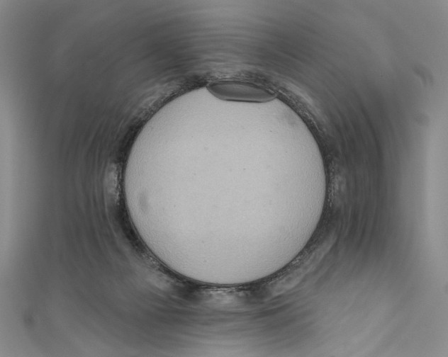 X0000110680121200907101135