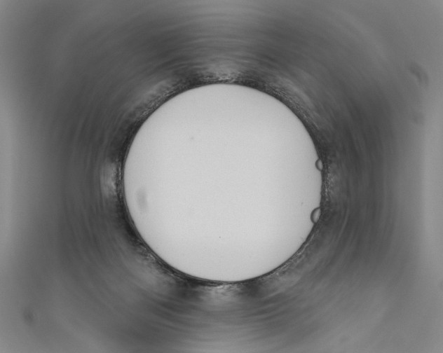 X0000110680122200907101135