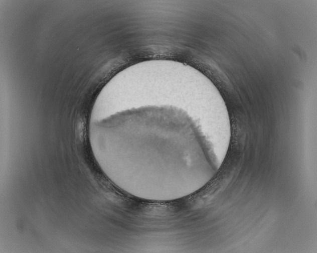 X0000110680123200907101135