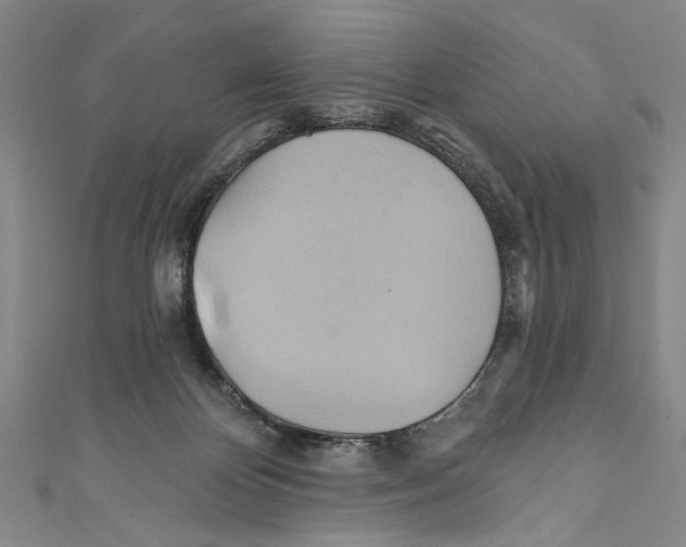 X0000110680124200907101135