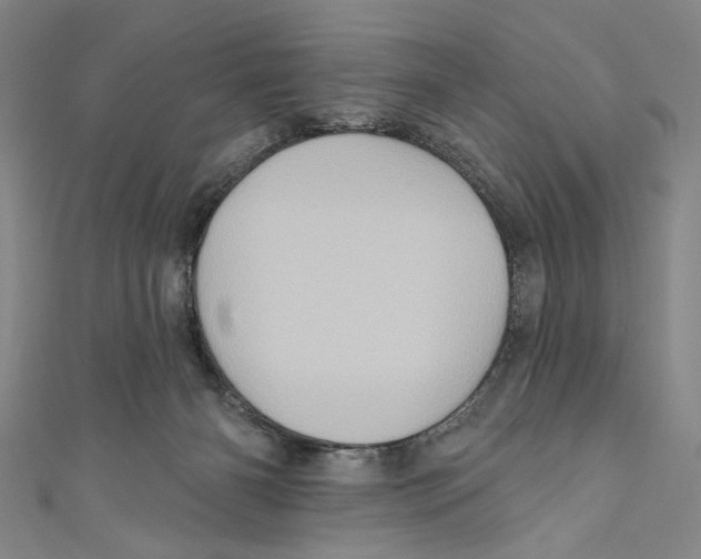 X0000110680126200907101135