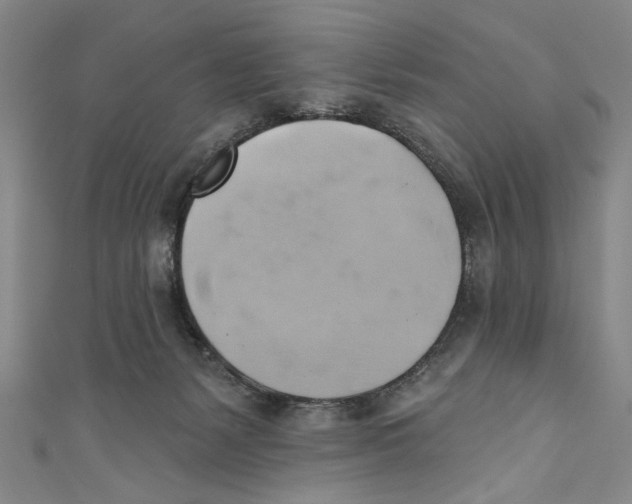 X0000110680127200907101135
