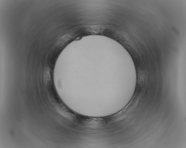 X0000110680128200907101135
