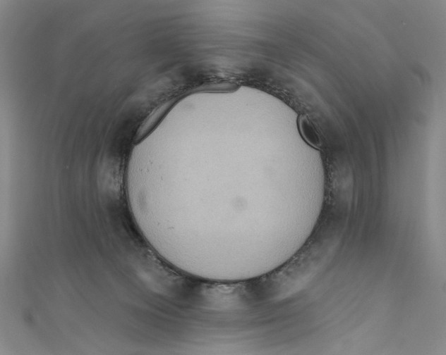 X0000110680129200907101135