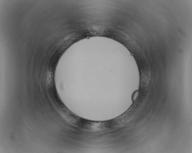 X0000110680130200907101135