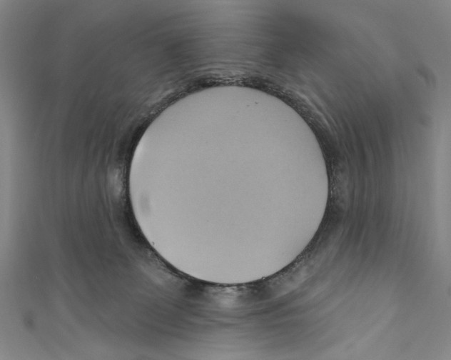 X0000110680131200907101135