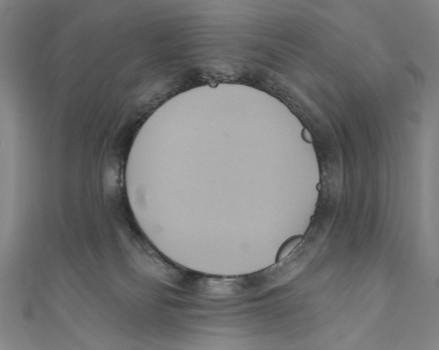 X0000110680134200907101135
