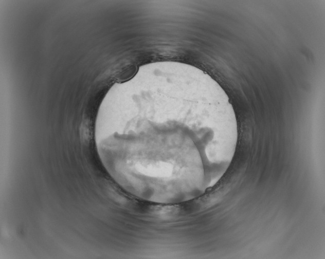 X0000110680135200907101135
