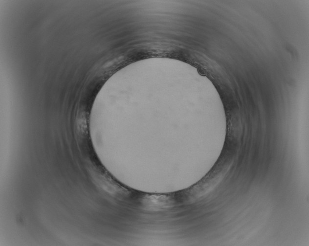 X0000110680137200907101135