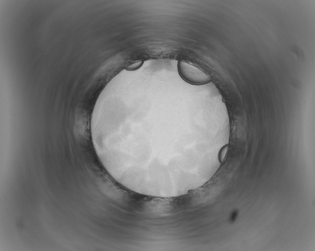 X0000110680138200907101135