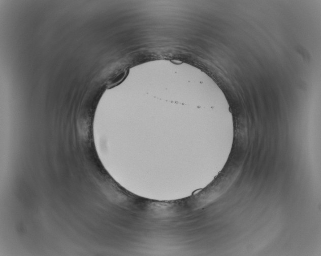 X0000110680139200907101135