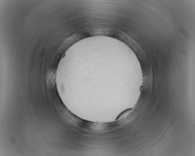 X0000110680142200907101135