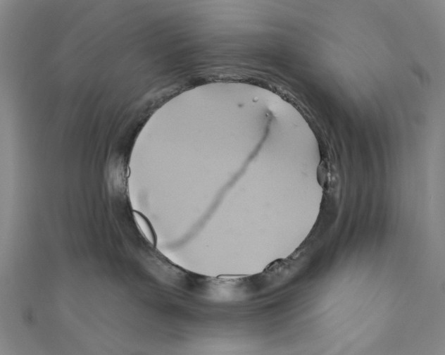X0000110680143200907101135