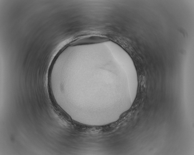 X0000110680148200907101134