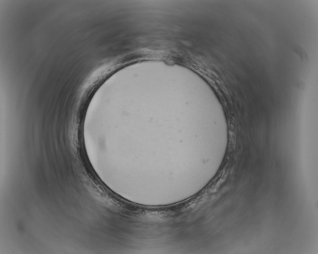 X0000110680149200907101134
