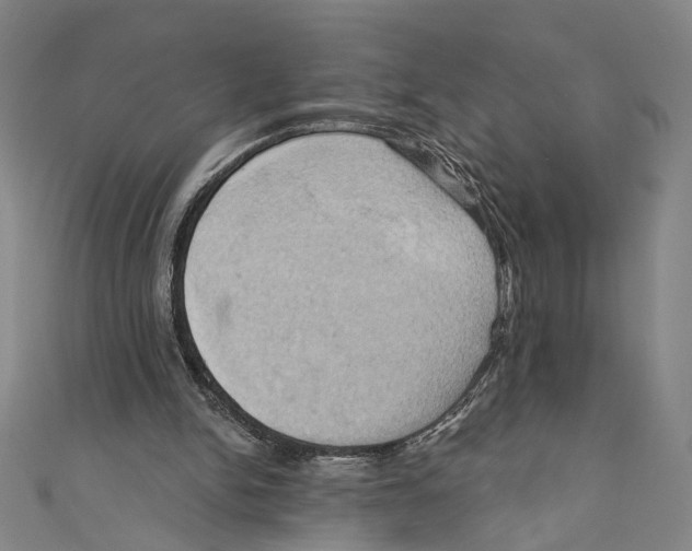 X0000110680150200907101134