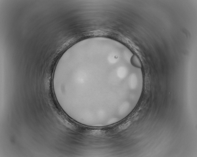 X0000110680153200907101134