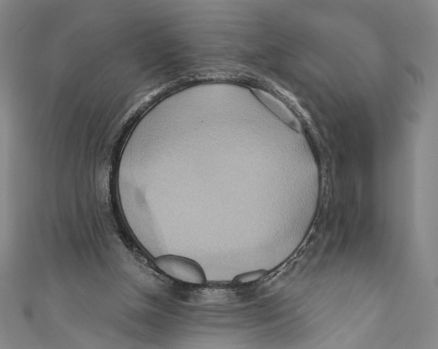 X0000110680154200907101134