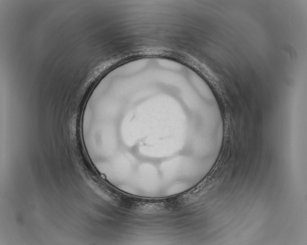 X0000110680155200907101134