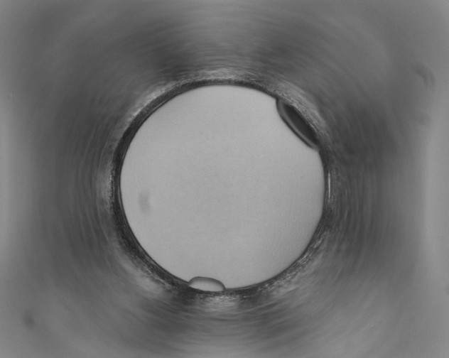 X0000110680156200907101134