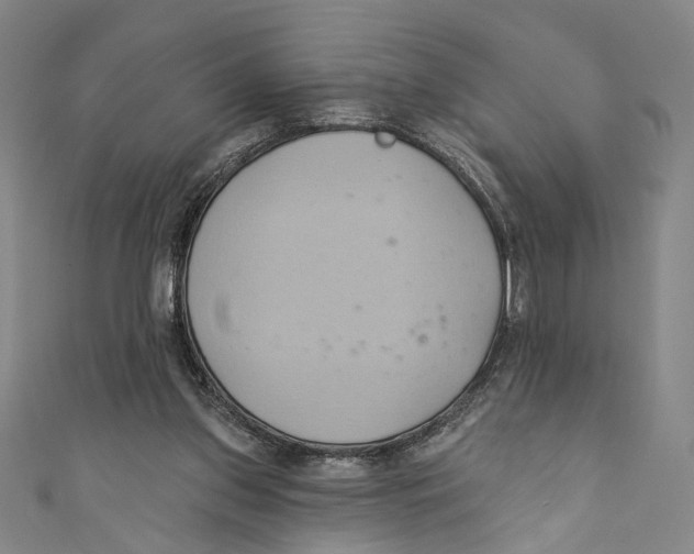 X0000110680157200907101134