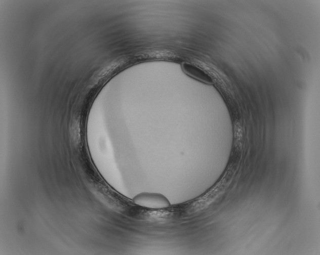 X0000110680158200907101134