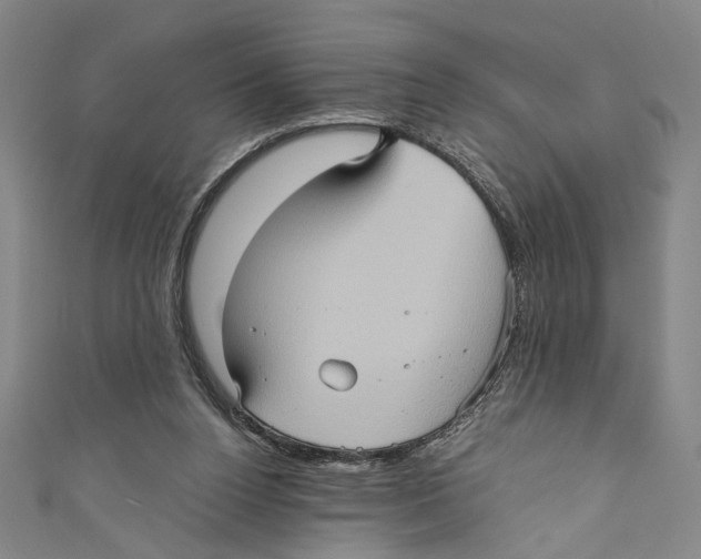 X0000110680160200907101134