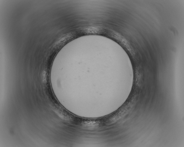 X0000110680161200907101134