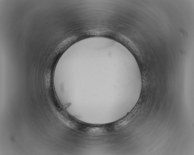 X0000110680163200907101134