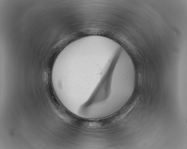 X0000110680165200907101135