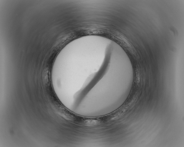 X0000110680169200907101135