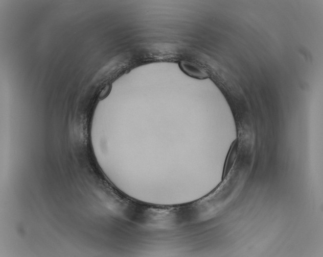 X0000110680170200907101135