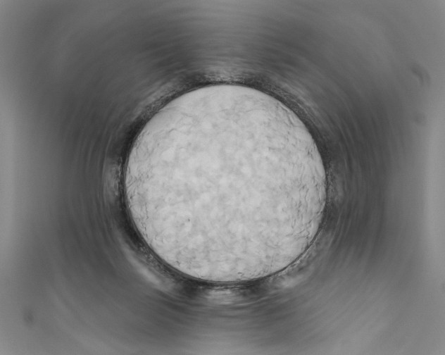 X0000110680171200907101135