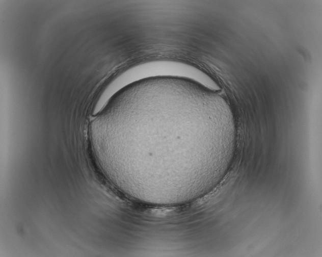 X0000110680172200907101135