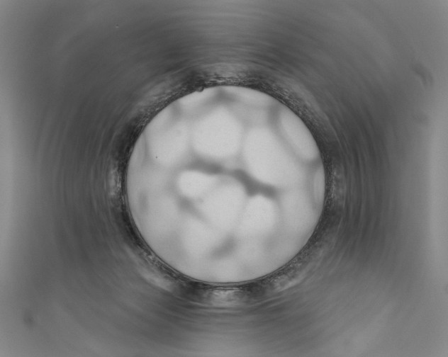 X0000110680173200907101135