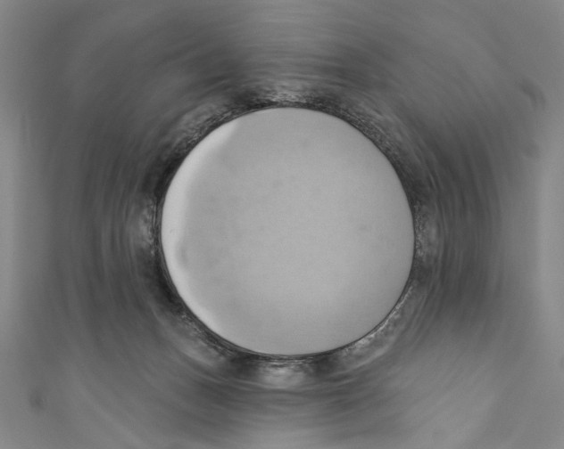 X0000110680175200907101135