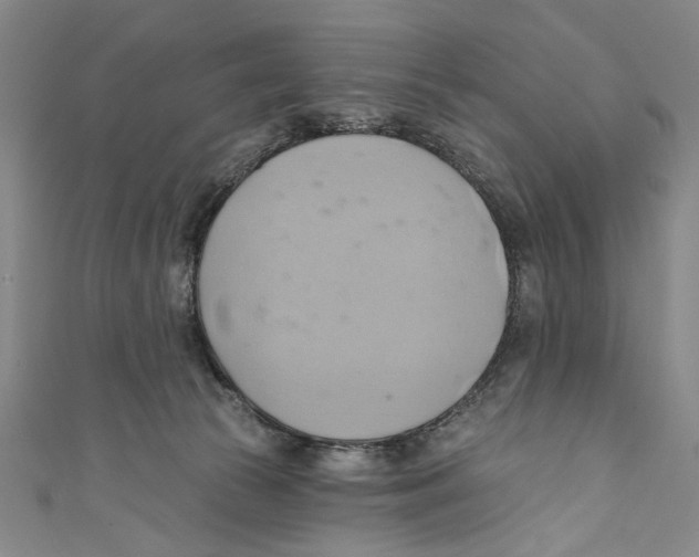 X0000110680177200907101135