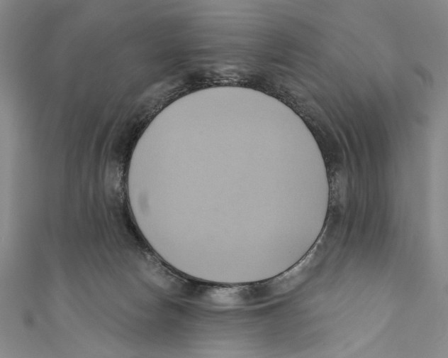 X0000110680178200907101135