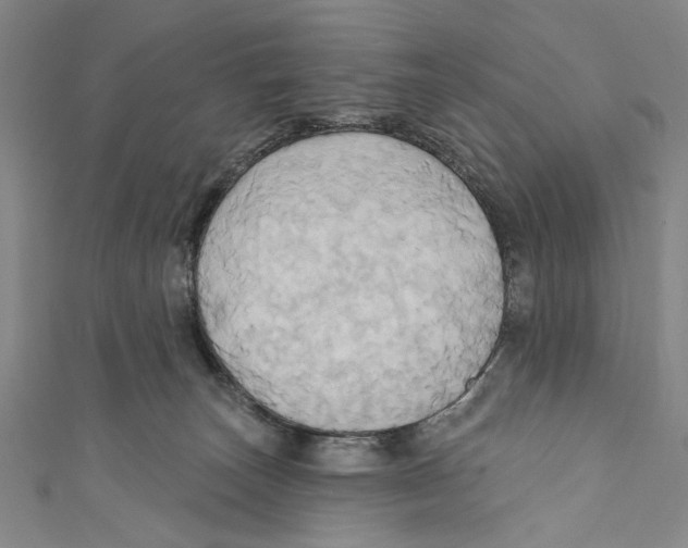 X0000110680179200907101135