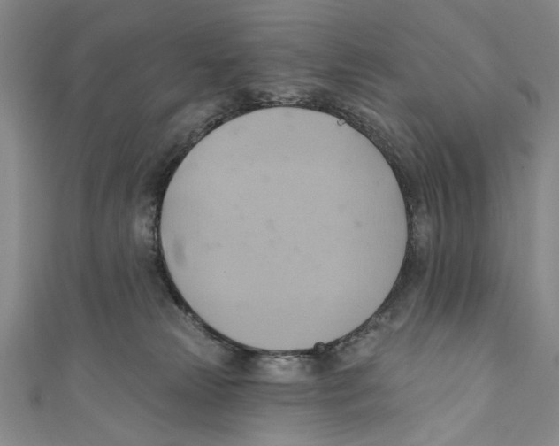 X0000110680181200907101135