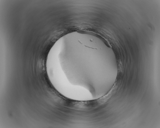 X0000110680182200907101135