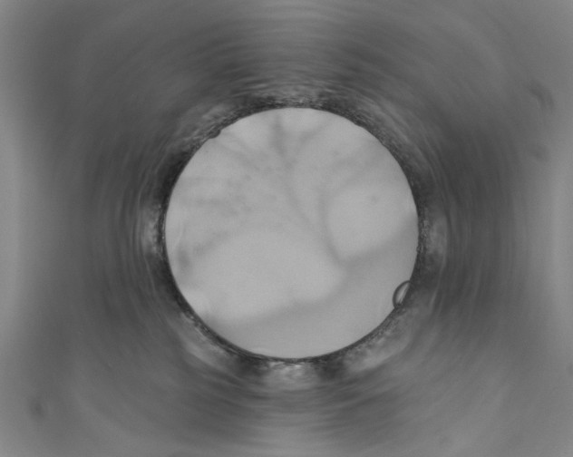 X0000110680185200907101135