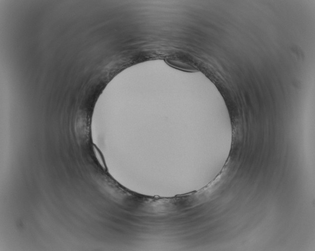 X0000110680186200907101135