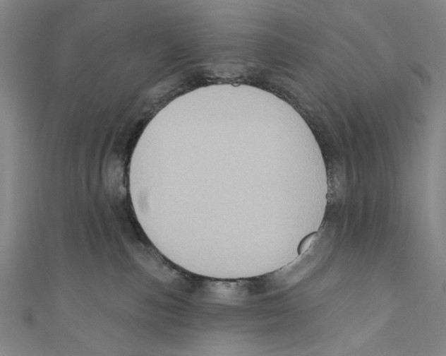 X0000110680187200907101135