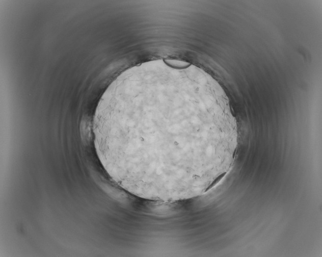 X0000110680191200907101135