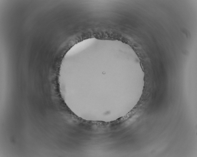 X0000110680192200907101135