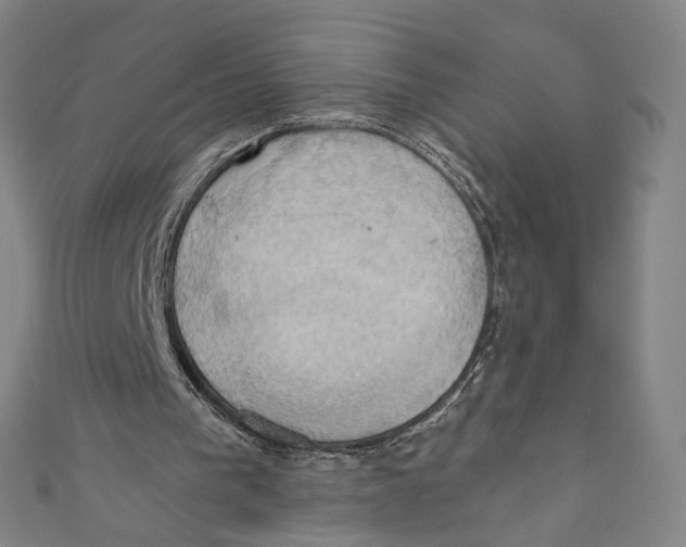 X0000110680193200907101134